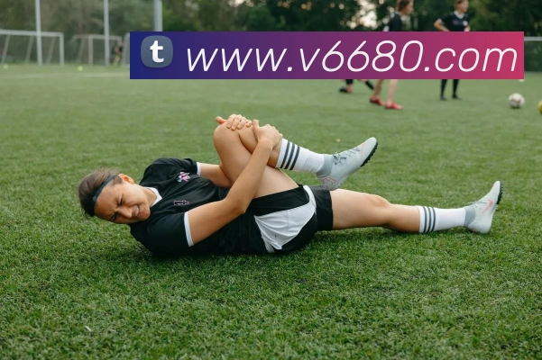 V66体育平台生态图